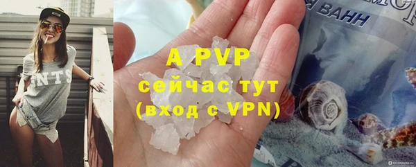 ПСИЛОЦИБИНОВЫЕ ГРИБЫ Белокуриха
