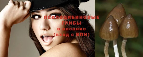 Альфа ПВП Беломорск