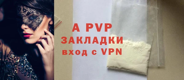 ПСИЛОЦИБИНОВЫЕ ГРИБЫ Белокуриха