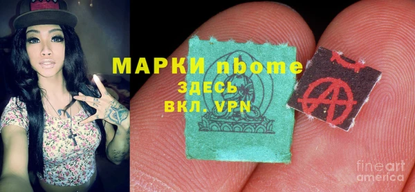 ПСИЛОЦИБИНОВЫЕ ГРИБЫ Белокуриха