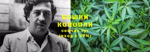 mdpv Всеволожск