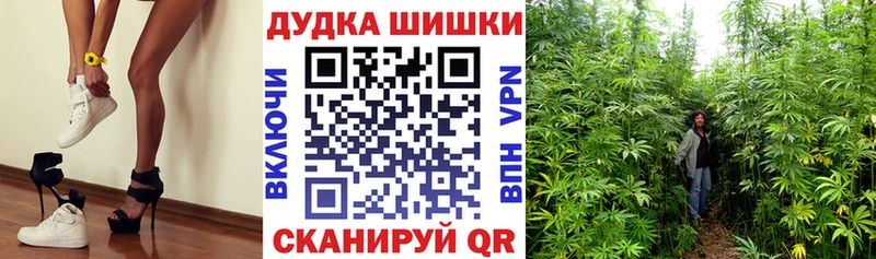 Конопля OG Kush  blacksprut tor  Кузнецк  наркота 